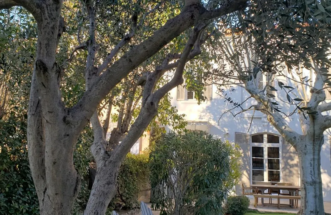 Maison d'hôtes La Bastide de Patou-1